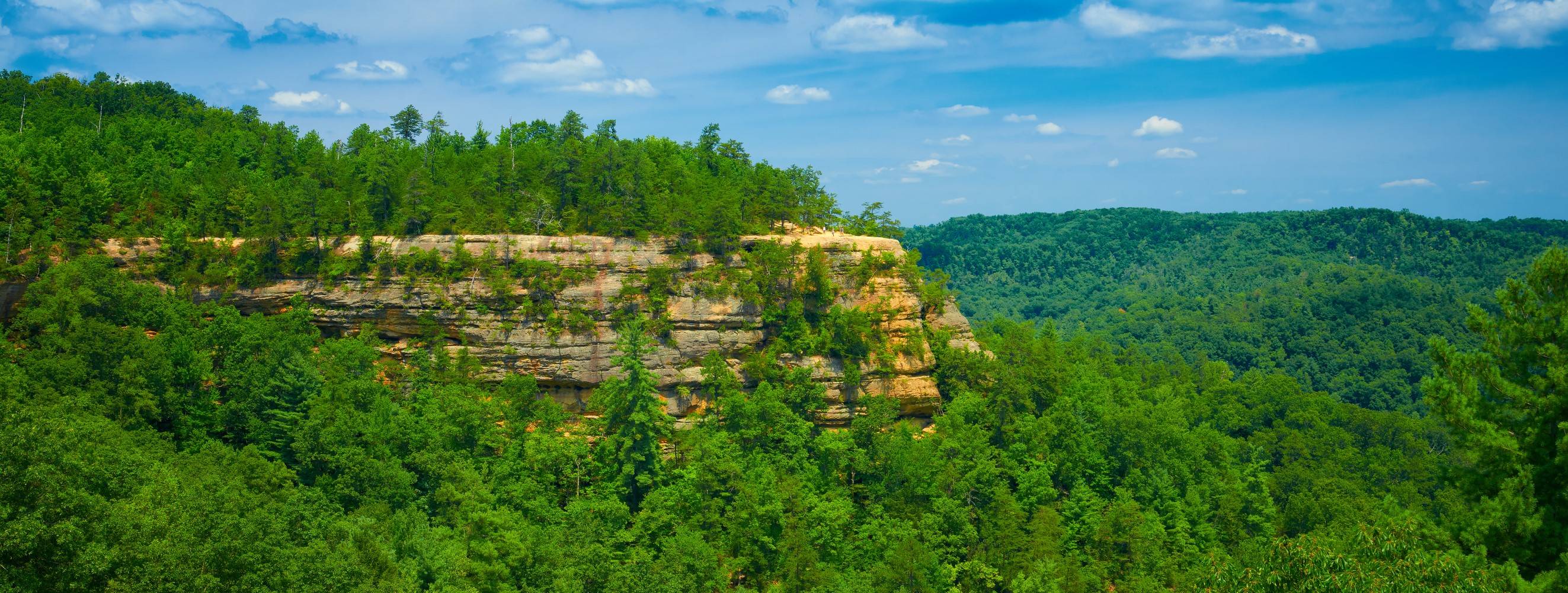 Red River Gorge West Liberty KY